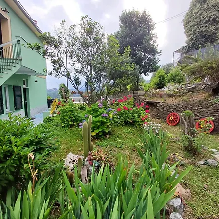 Apartamento I Pippodi