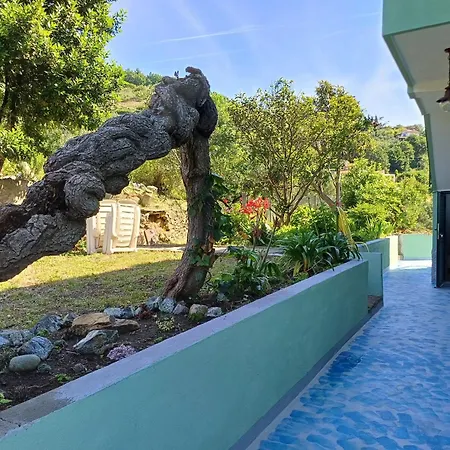 I Pippodi Apartment Celle Ligure
