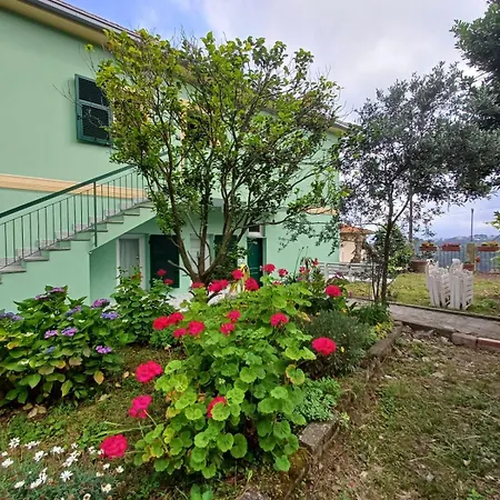 I Pippodi Celle Ligure