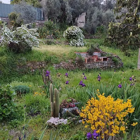 Apartamento I Pippodi