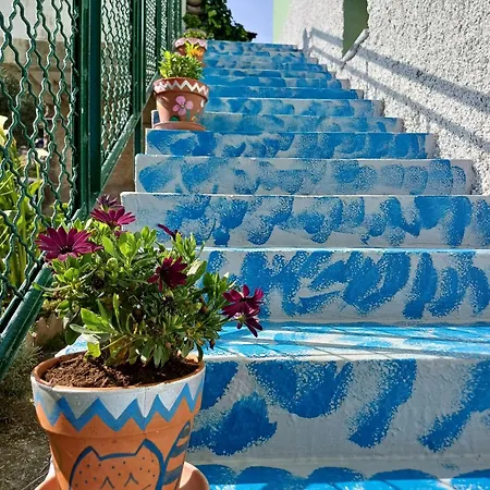 I Pippodi Celle Ligure