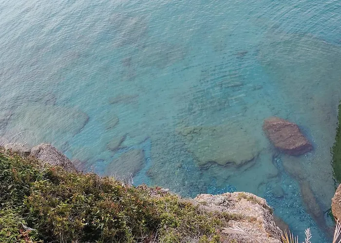 I Pippodi * Celle Ligure