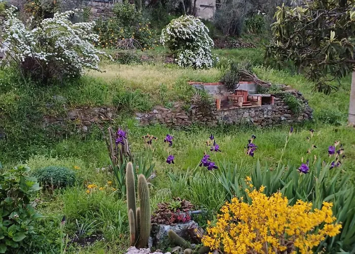 Apartamento I Pippodi